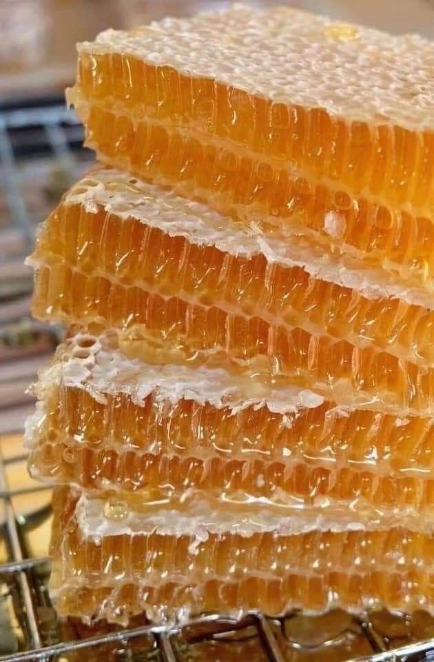 Paneles de miel natural apilados